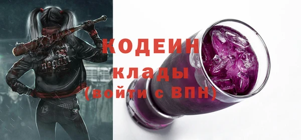apvp Гусиноозёрск