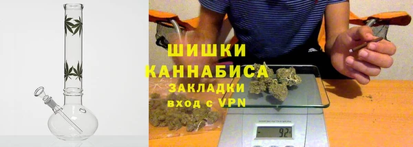 Альфа ПВП Горняк