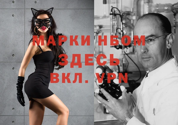 дмт Гусев