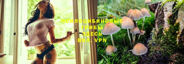 ГАЛЛЮЦИНОГЕННЫЕ ГРИБЫ Горнозаводск