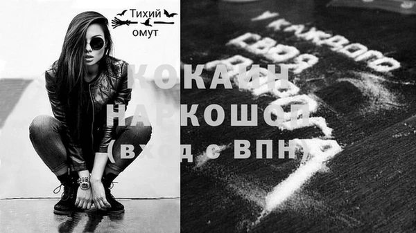 Альфа ПВП Горняк
