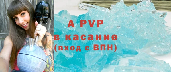 дмт Гусев