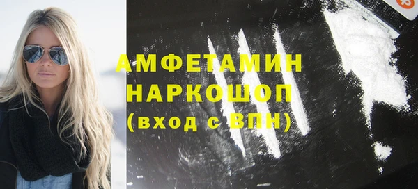 Альфа ПВП Горняк
