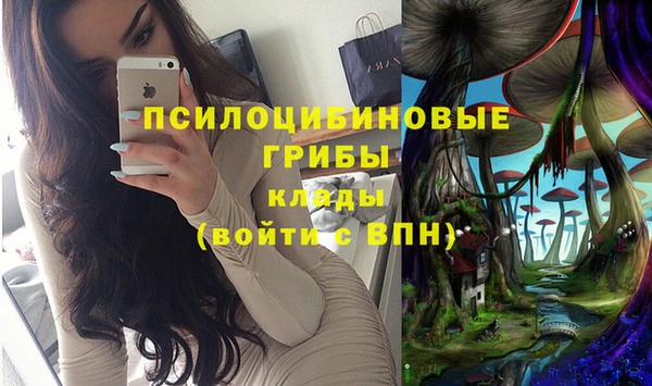 Альфа ПВП Горняк