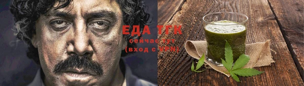 Альфа ПВП Горняк