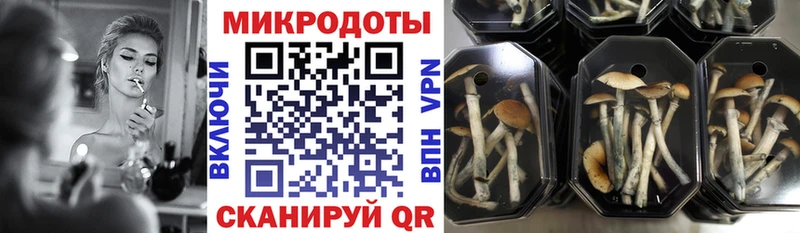 Галлюциногенные грибы Psilocybine cubensis  Купить закладки  Наволоки 