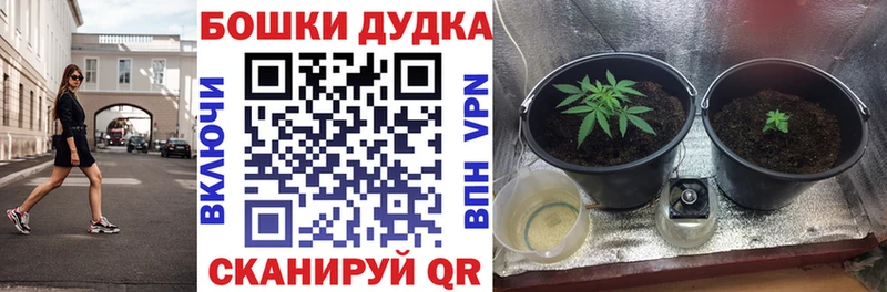 Купить Наволоки Бошки марихуана семена